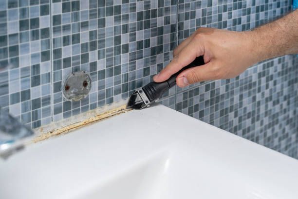 Best Fast Mold Removal  in Victory Lakes, NJ