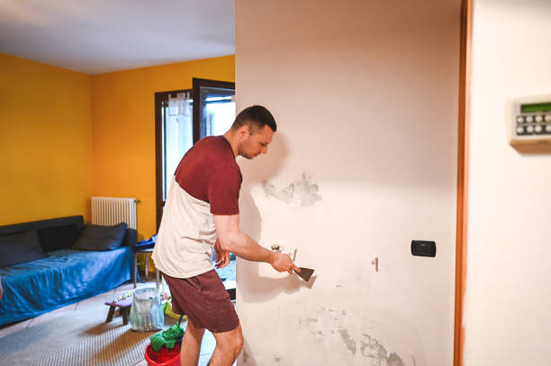 Certified Mold Removal in Victory Lakes, NJ