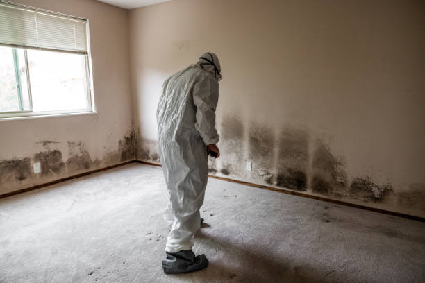 Best Commercial Mold Removal  in Victory Lakes, NJ